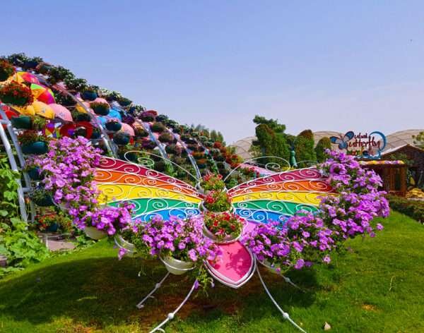 Butterfly Garden Dubai 90 AED PER PERSON
