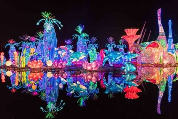Glow Garden Dubai 100 AED PER PERSON